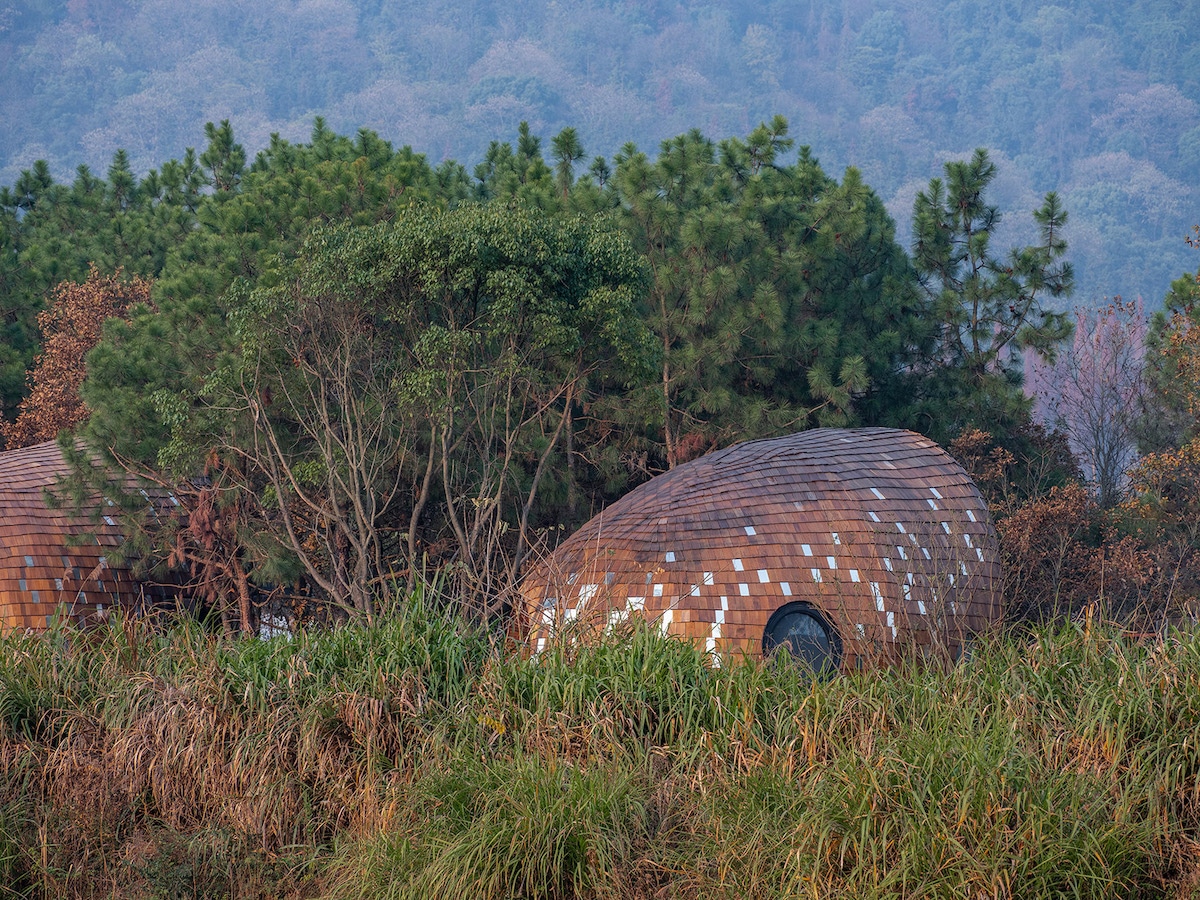 The Seeds Cabins in the Forests of Jiangxi