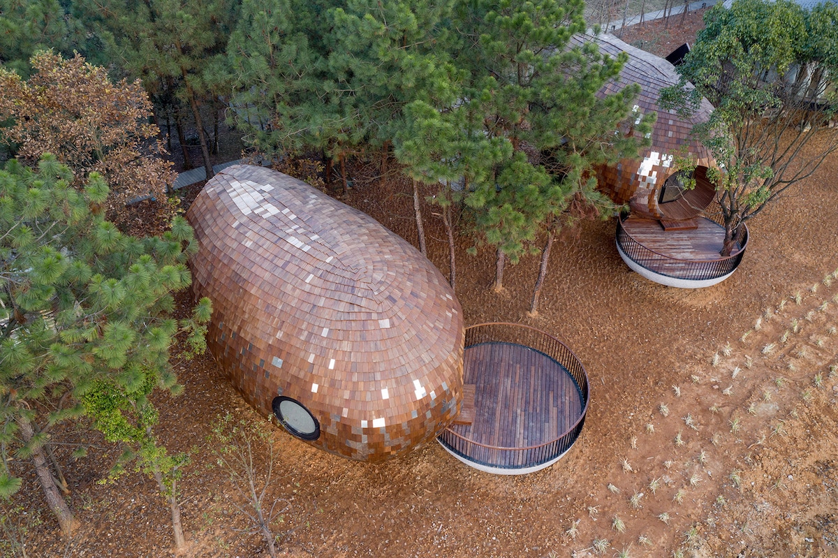 Aerial View of the Seeds Cabins in the Forests of Jiangxi