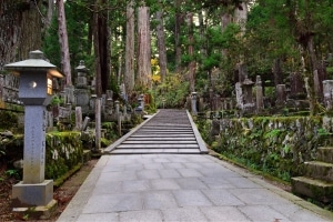 'Tree Burials' Gain Popularity in Japan as Thoughtful Alternative