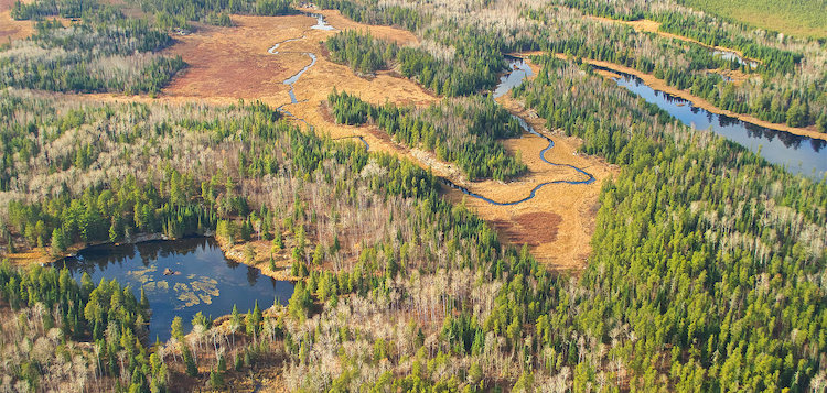 The rugged and remote landscape supports about 40 wolves/Voyageurs Wolf Project