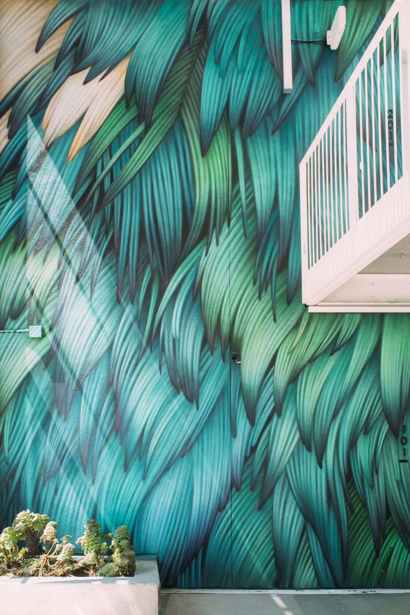 Pigeon Feather Mural by Adele Renault