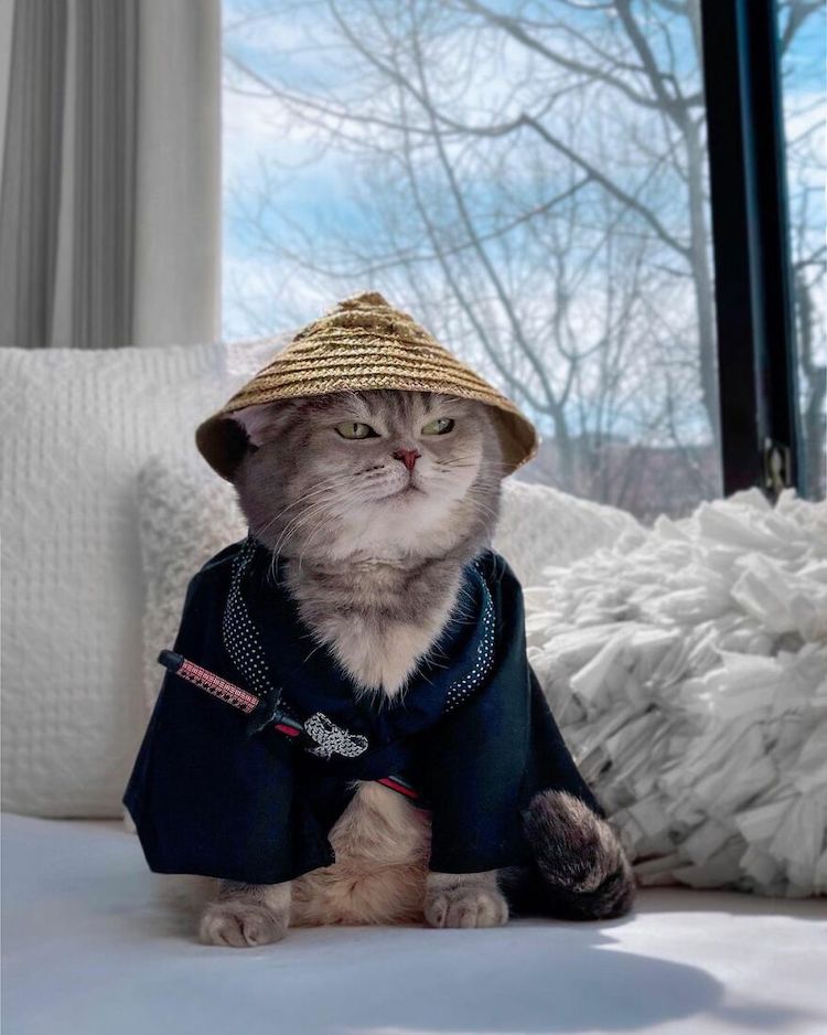 Trendy Fashion That's Purrfect for Cat Lovers