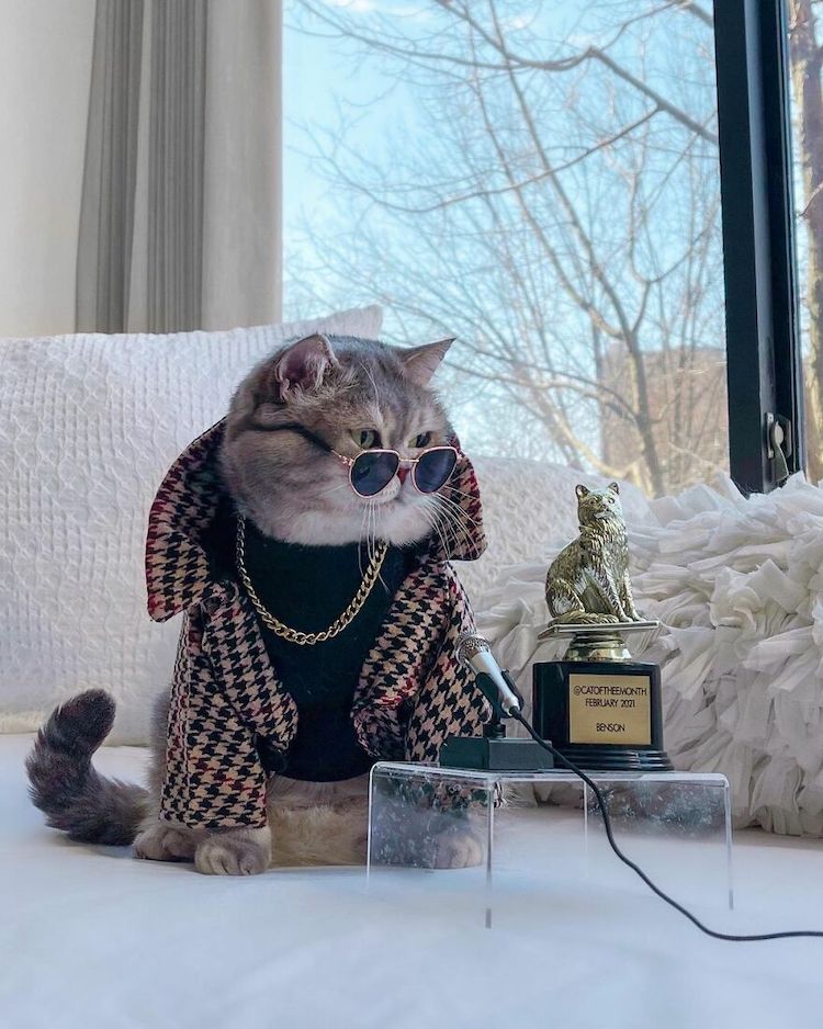 Trendy Fashion That's Purrfect for Cat Lovers