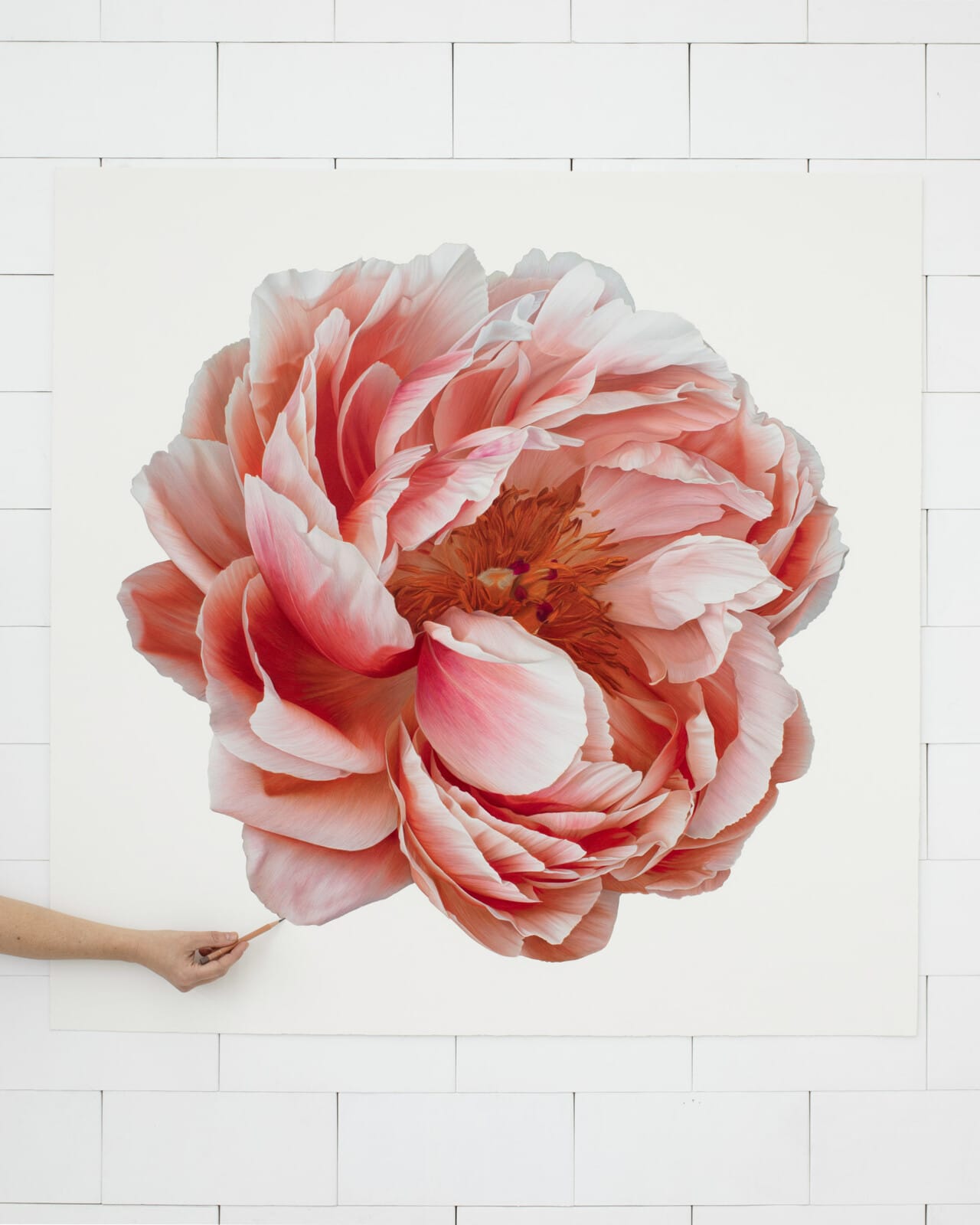 Artist Captures Ethereal Flowers in Hyperrealistic Colored Pencil ...