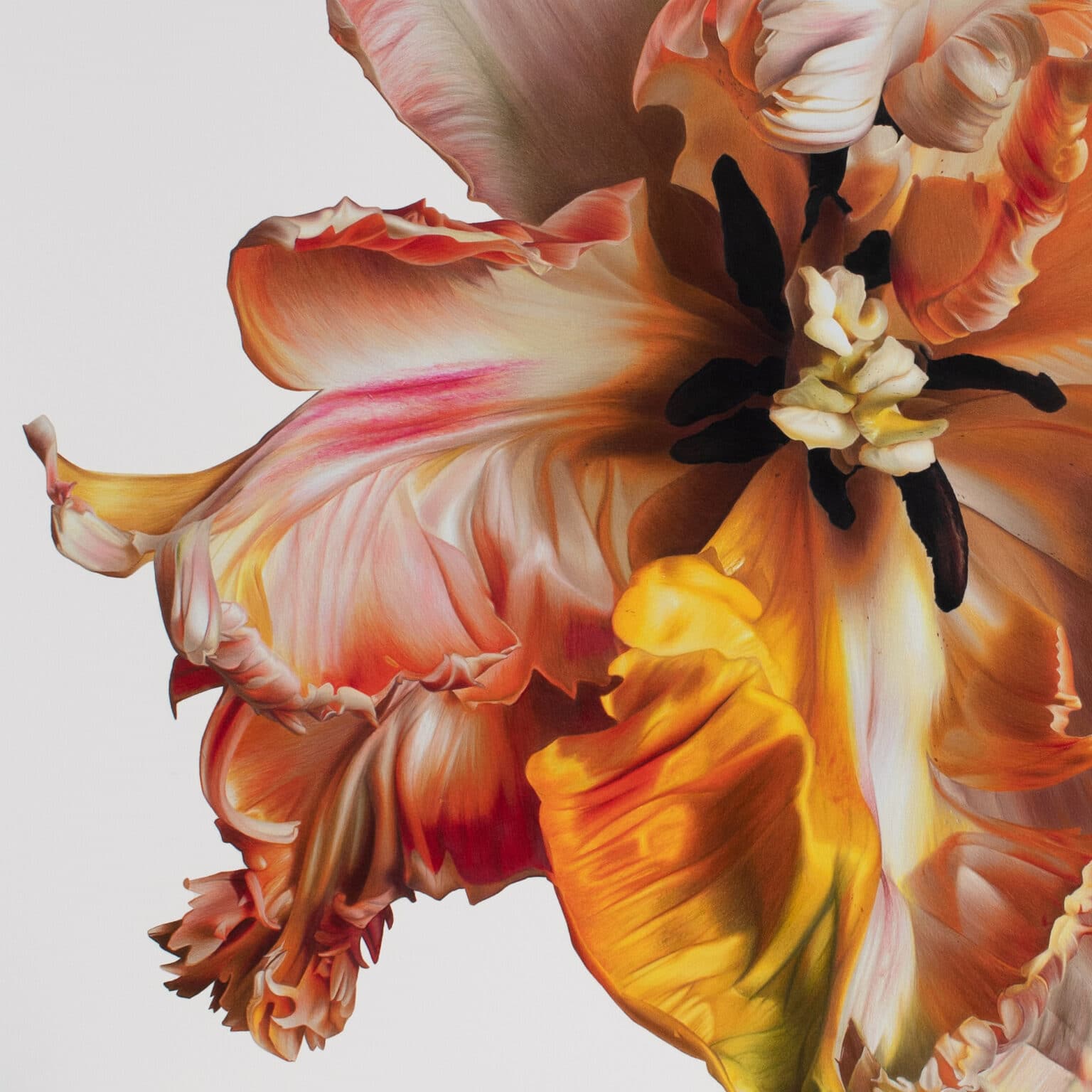Artist Captures Ethereal Flowers in Hyperrealistic Colored Pencil Drawings