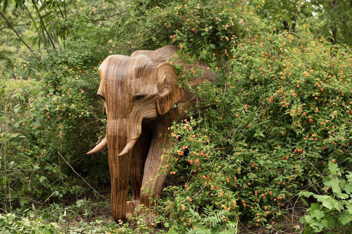 Exposition d'art Éléphants Coexistence