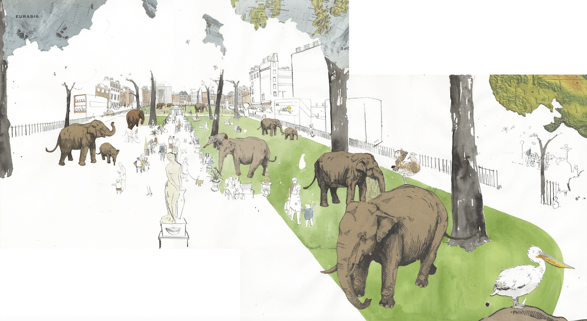 Elephant Drawings by George Butler