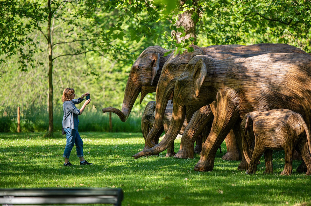 Lantana Elephant Sculpture Herd Migration
