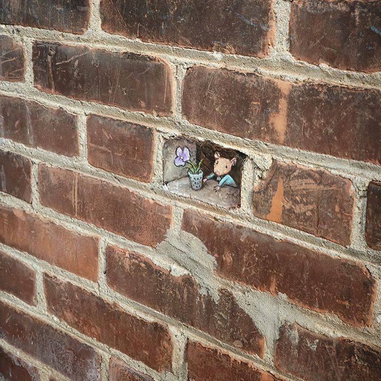 Illusion d'Optique Art de rue par David Zinn