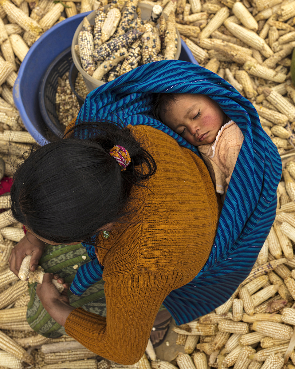 Photo d'une mère ramassant du maïs et son enfant 