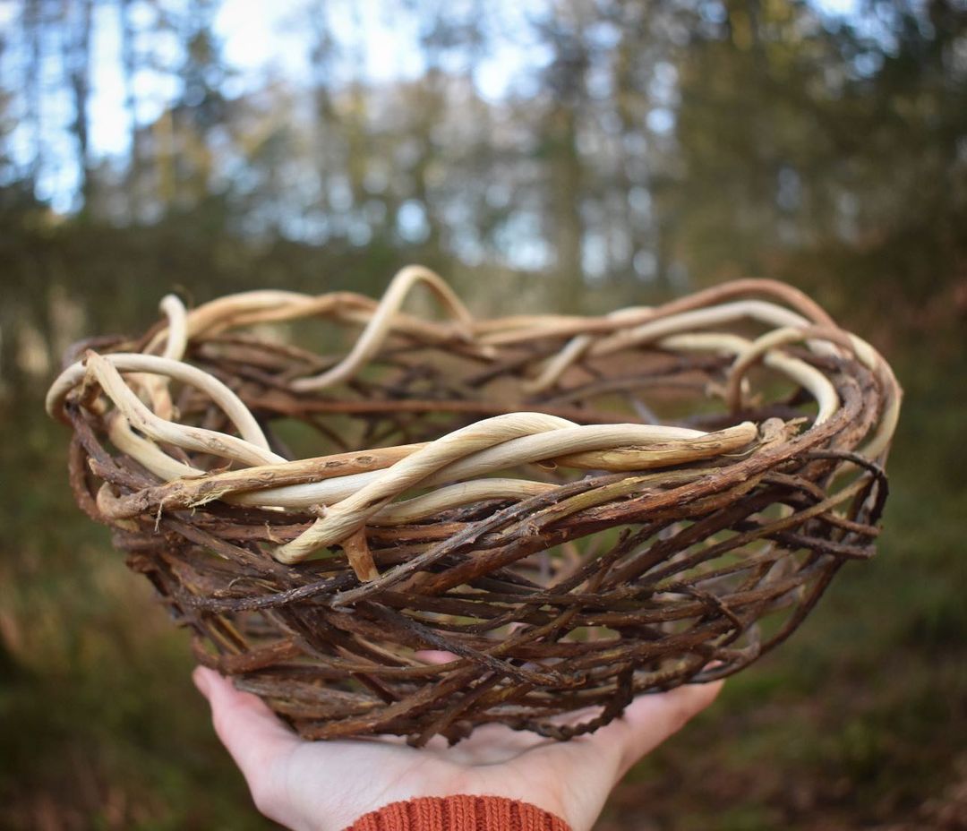 cestería por Foraged Fibers