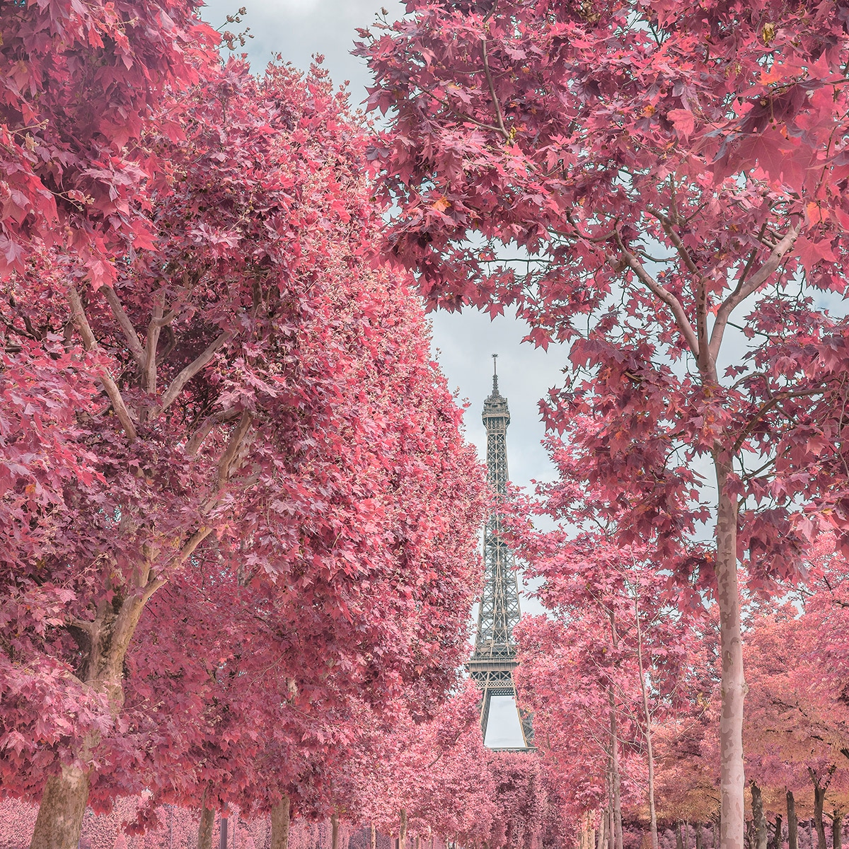 Paris in Infrared