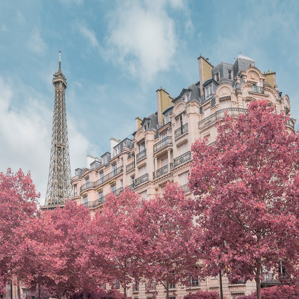 Paris en infrarouge 