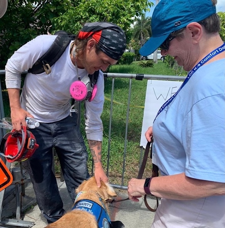 Person Petting a Golden Retriever