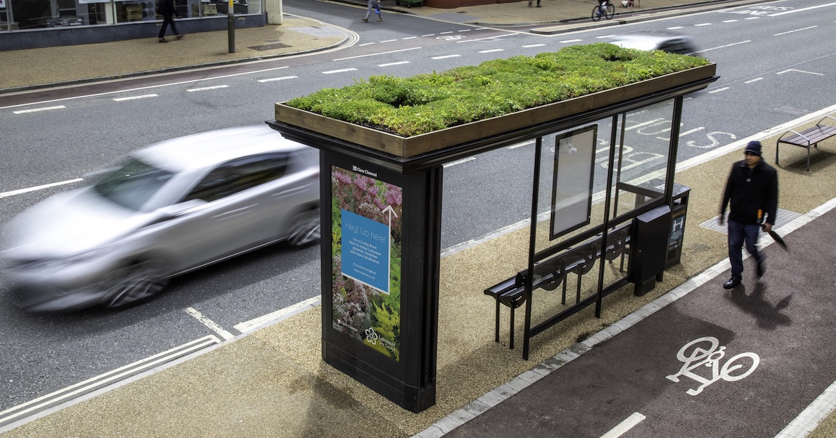 Leicester Turns Its Bus Stops Into Green Roof Pollinator Gardens for Bees