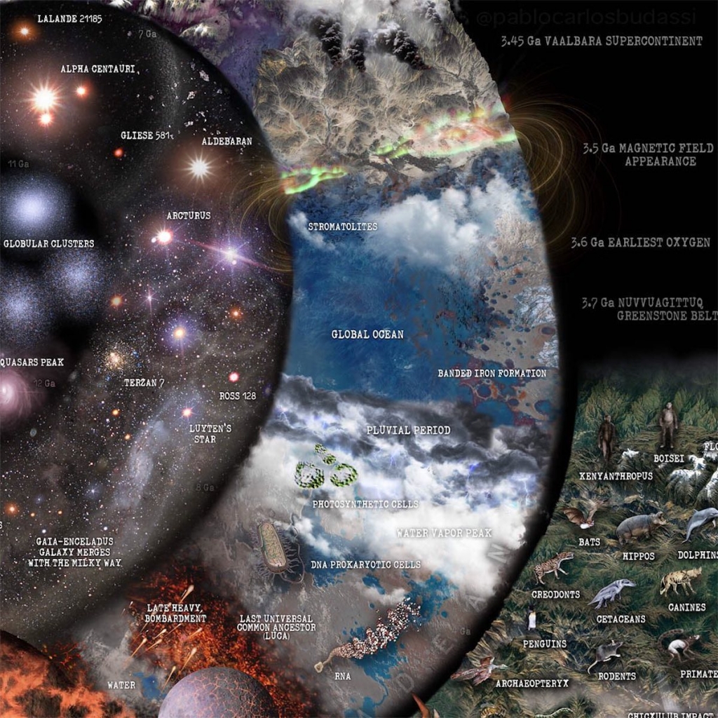 Illuminating Infographic Visualizes Nature As A 