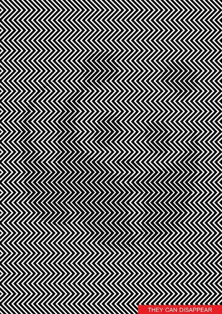 ilusión óptica de panda por Ilja Klemencov