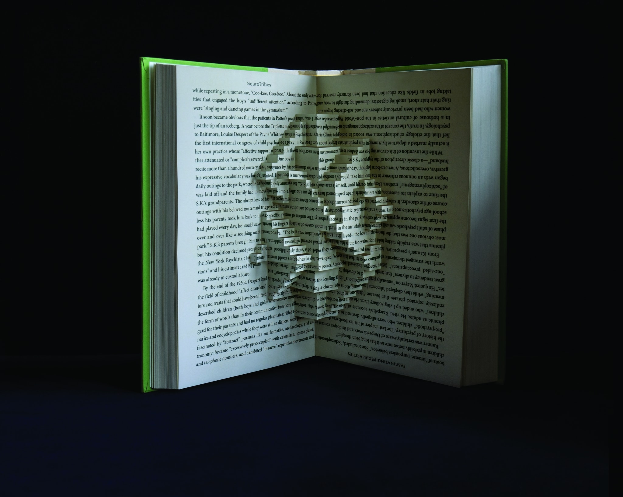 Stephen Doyle "Hypertexts" Altered Books Wordplay