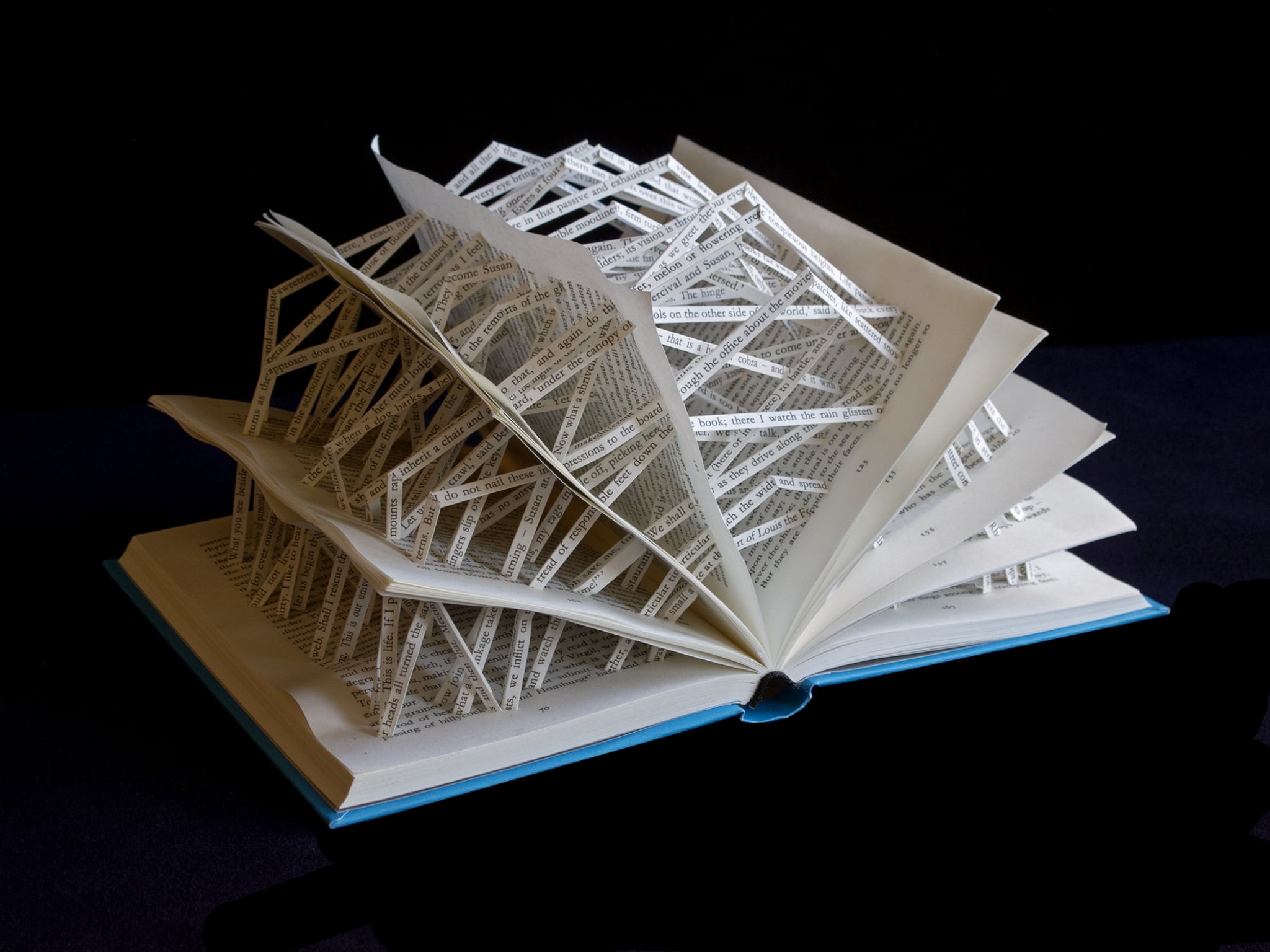 Stephen Doyle "Hypertexts" Altered Book Sculptures