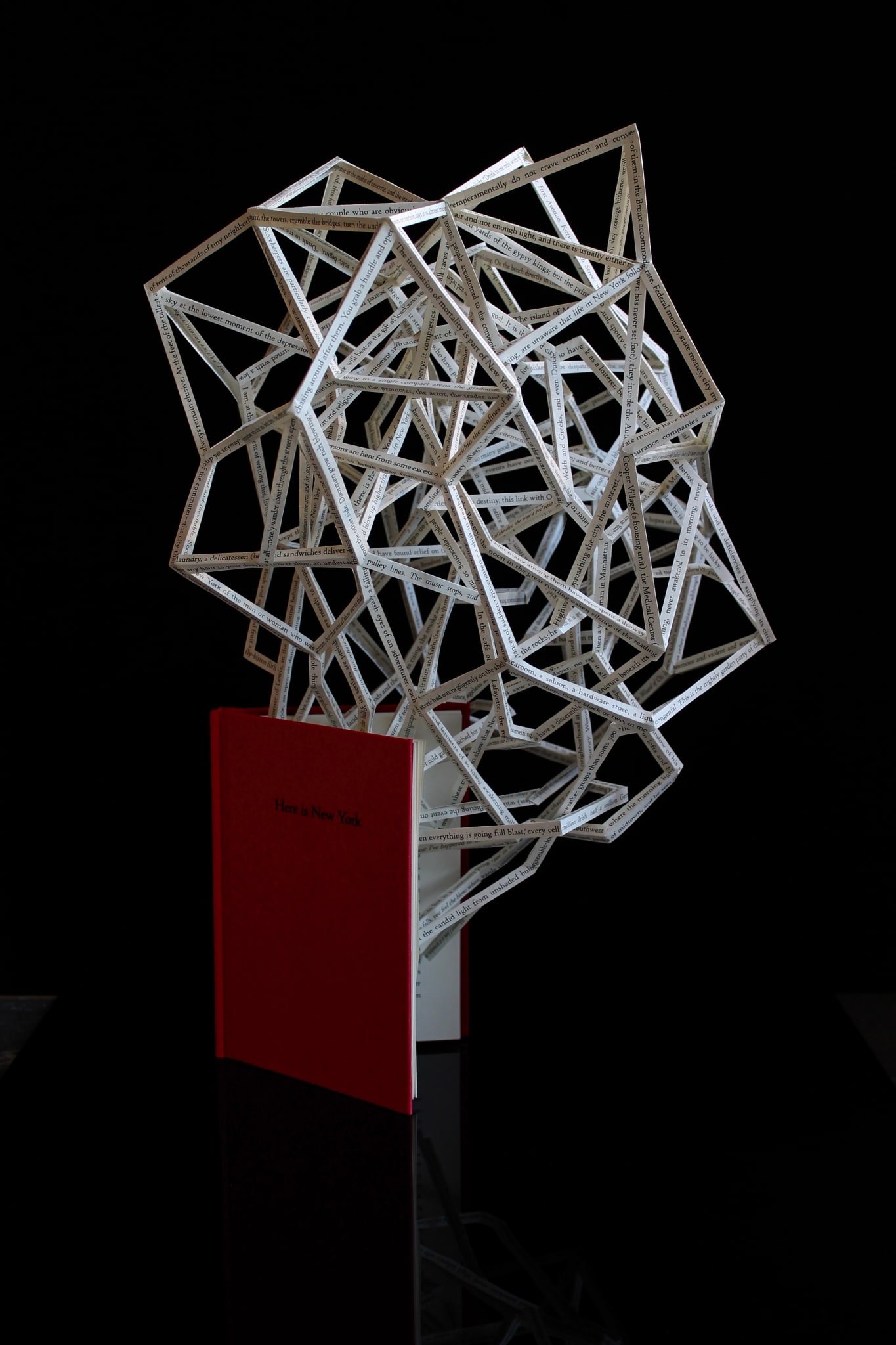 Stephen Doyle "Hypertexts" Altered Book Sculptures