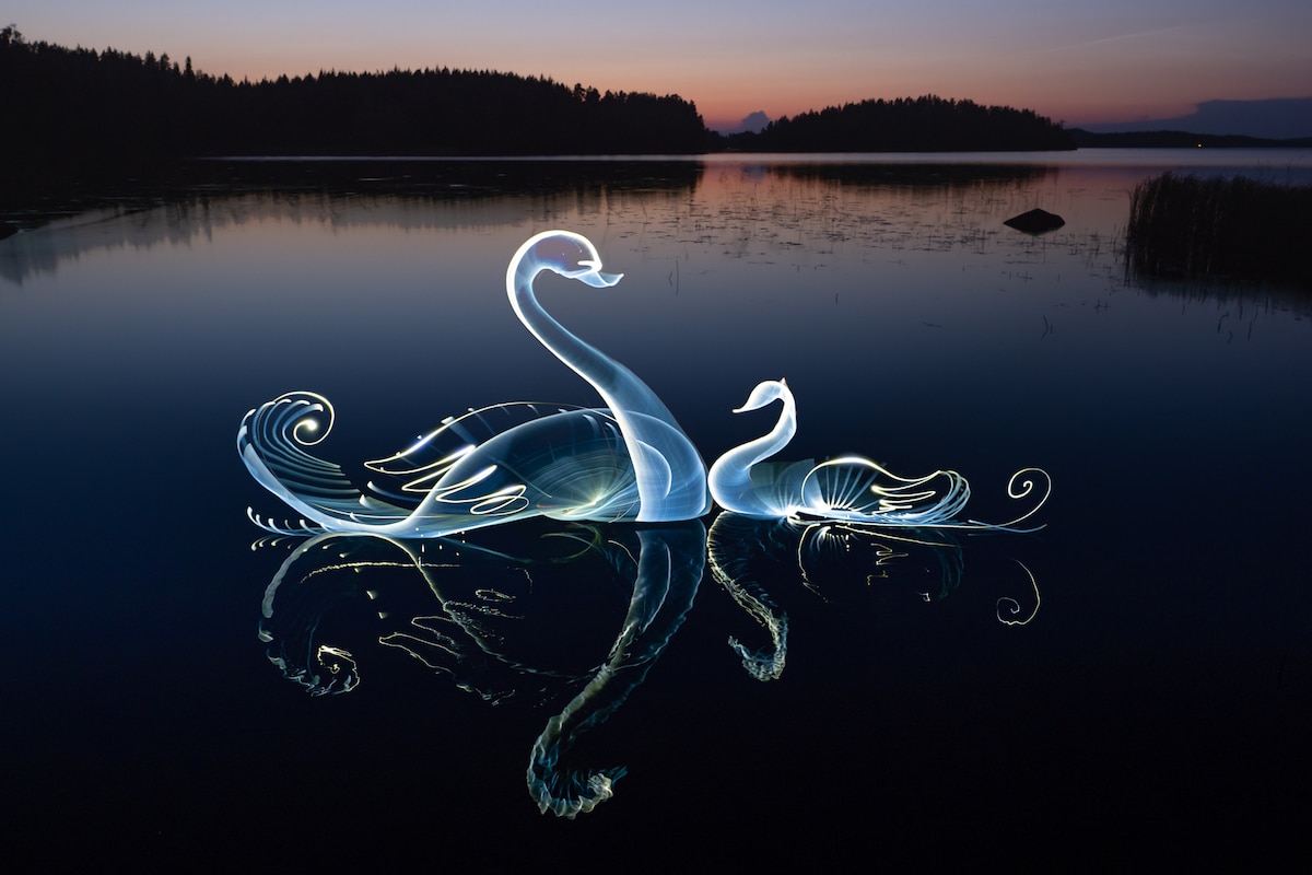 Light Painting of a Swan on a Lake by Hannu Huhtamo