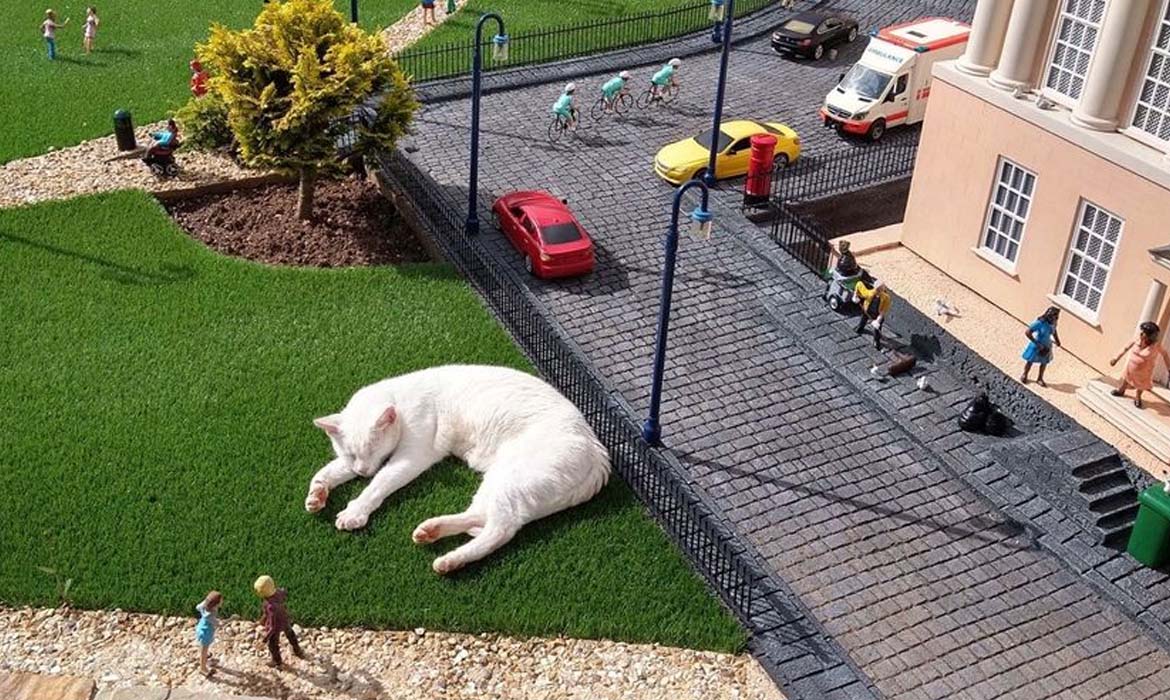 Animals Invade Miniature Towns at the Babbacombe Model Village