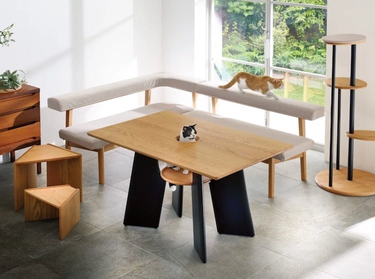 Table pour chat de Dinos