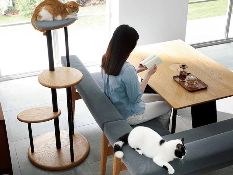 mesa de diseño para gatos por Dinos
