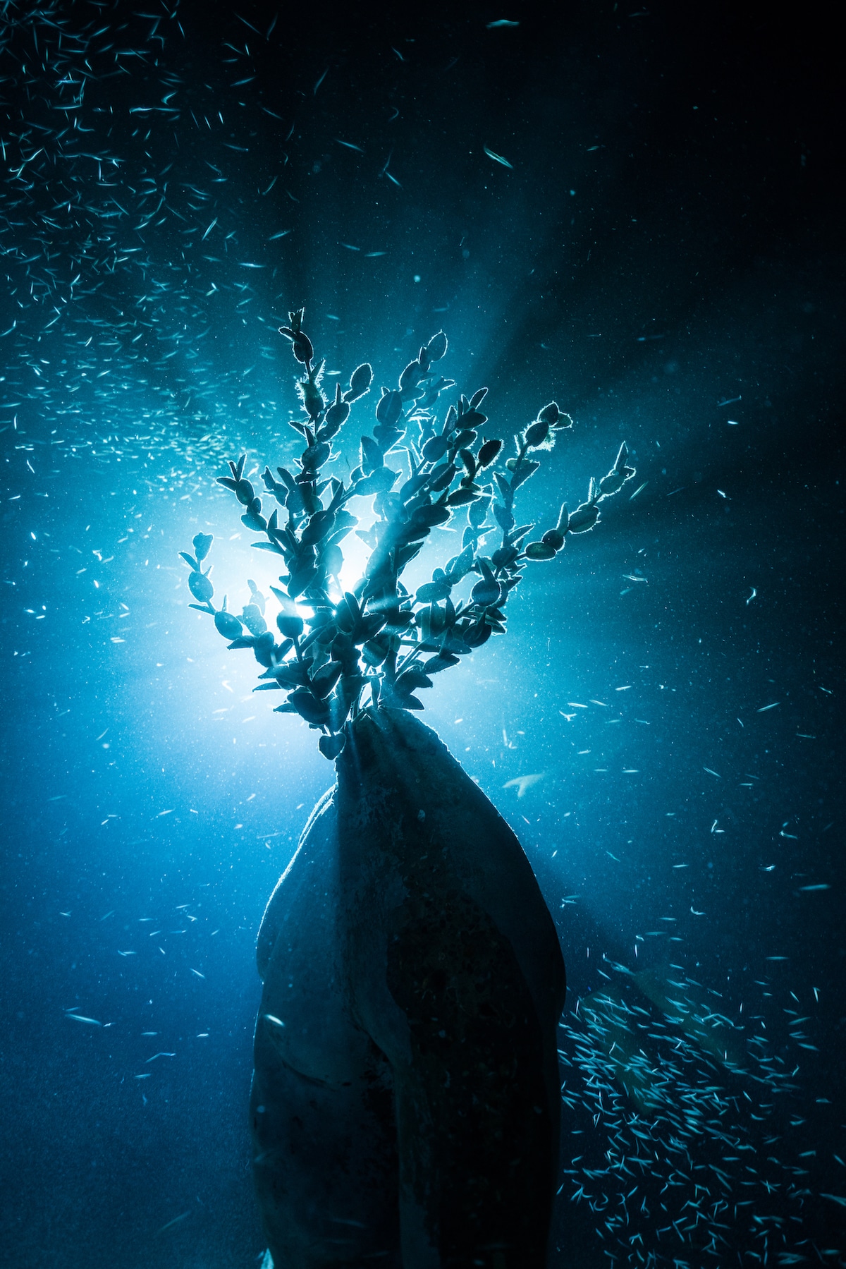 Sculpture by Jason deCaires Taylor, MUSAN, the first underwater museum in the Mediterranean