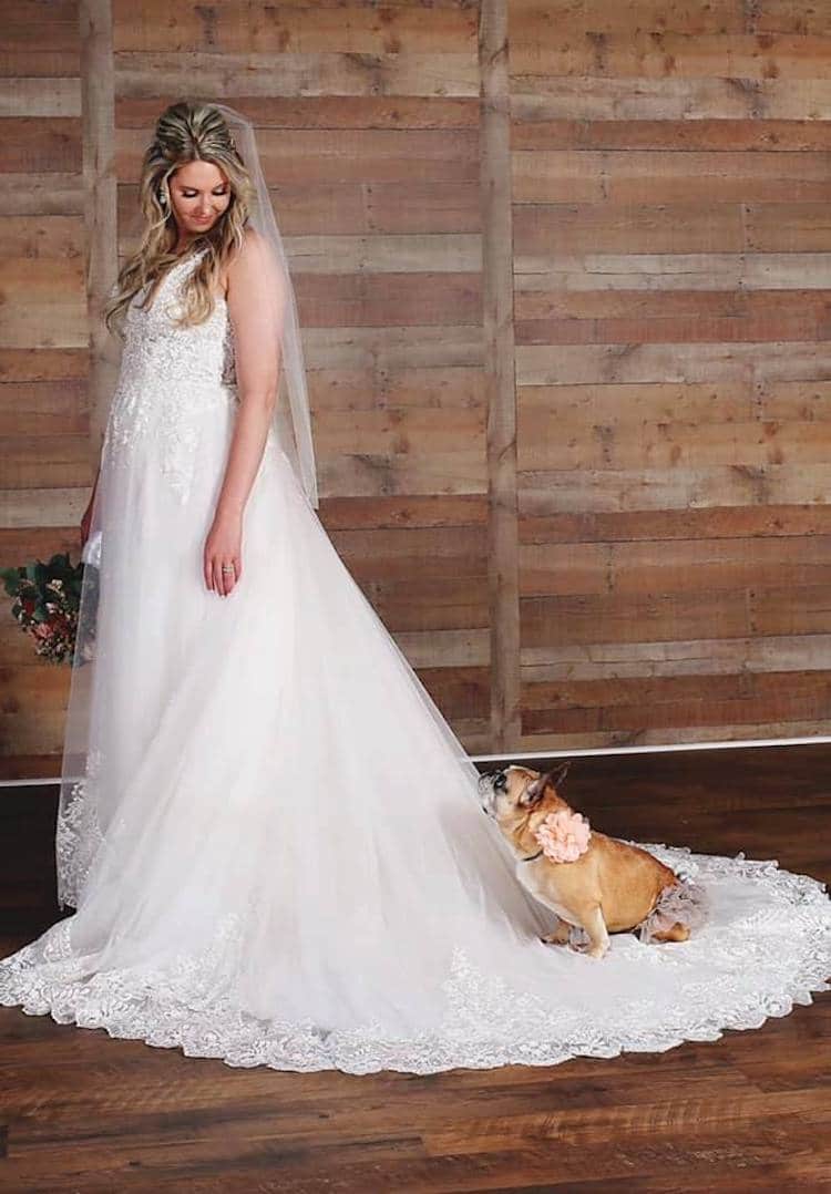 Kardi the French Bulldog and Her Human Kelsey in Her Wedding