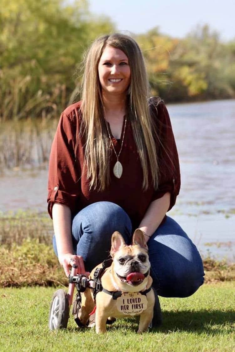 Kardi the French Bulldog and Her Human Kelsey in Her Wedding