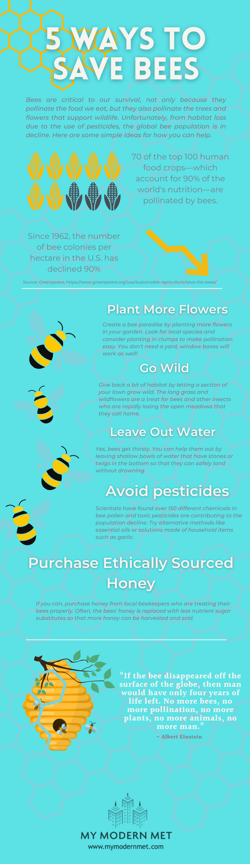 Save the Bees Infographic