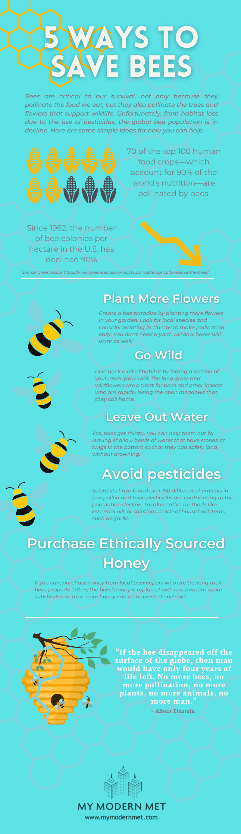 5 Easy Ways That Anyone Can Help Save Bees Right From Your Own Backyard My Modern Met