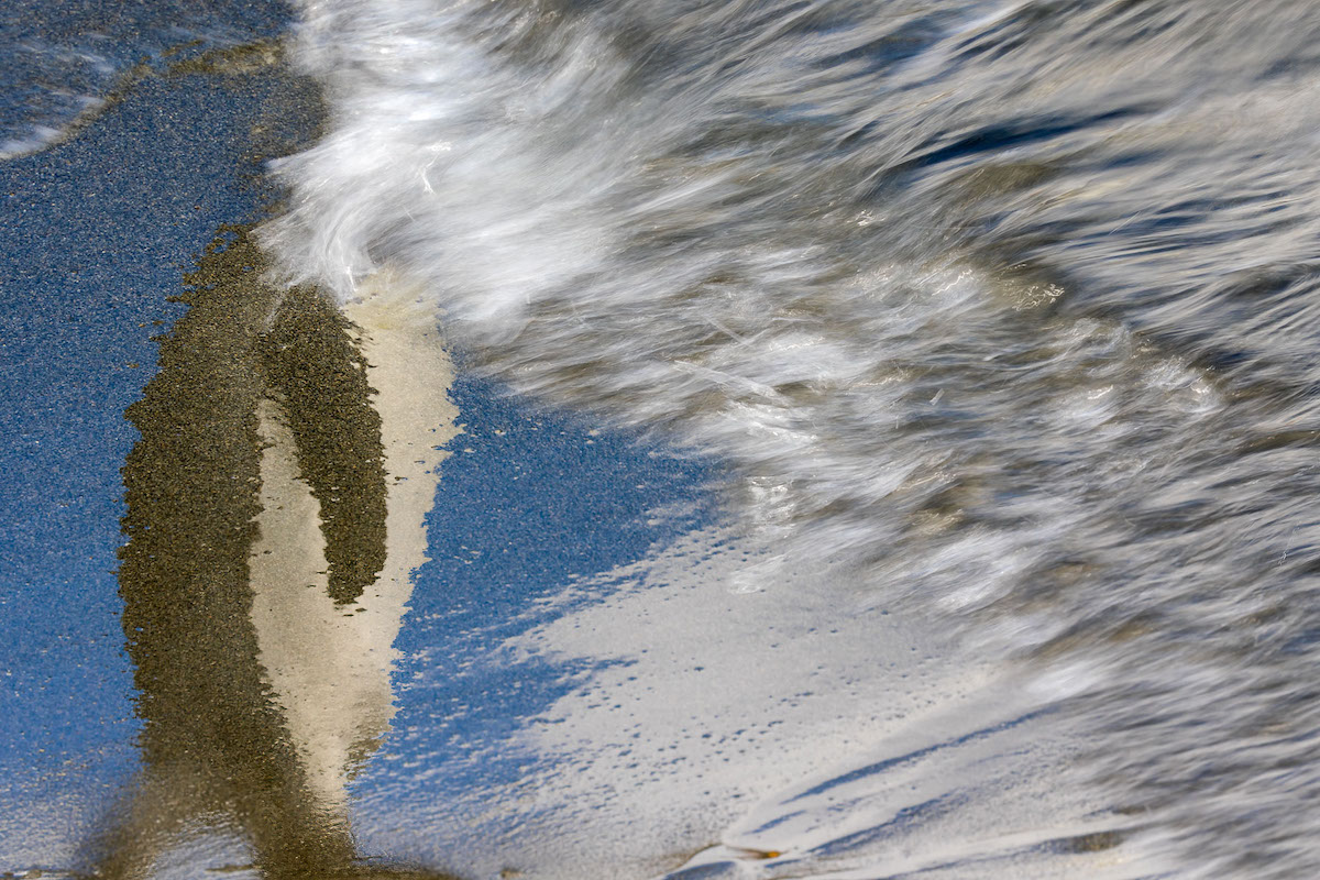 King Penguin Reflected in Water