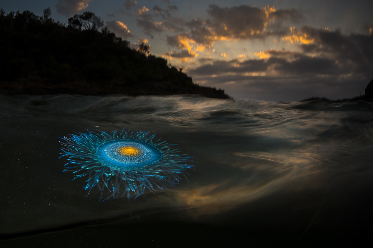 Explore the Stunning Photographs of the Ocean Photography Awards 2021 Finalists