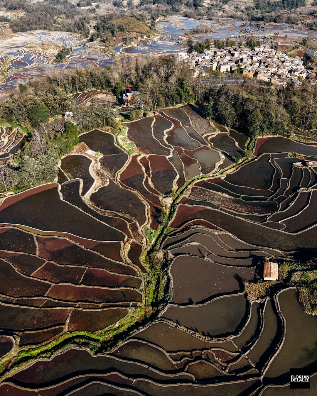 Terraced Land in China