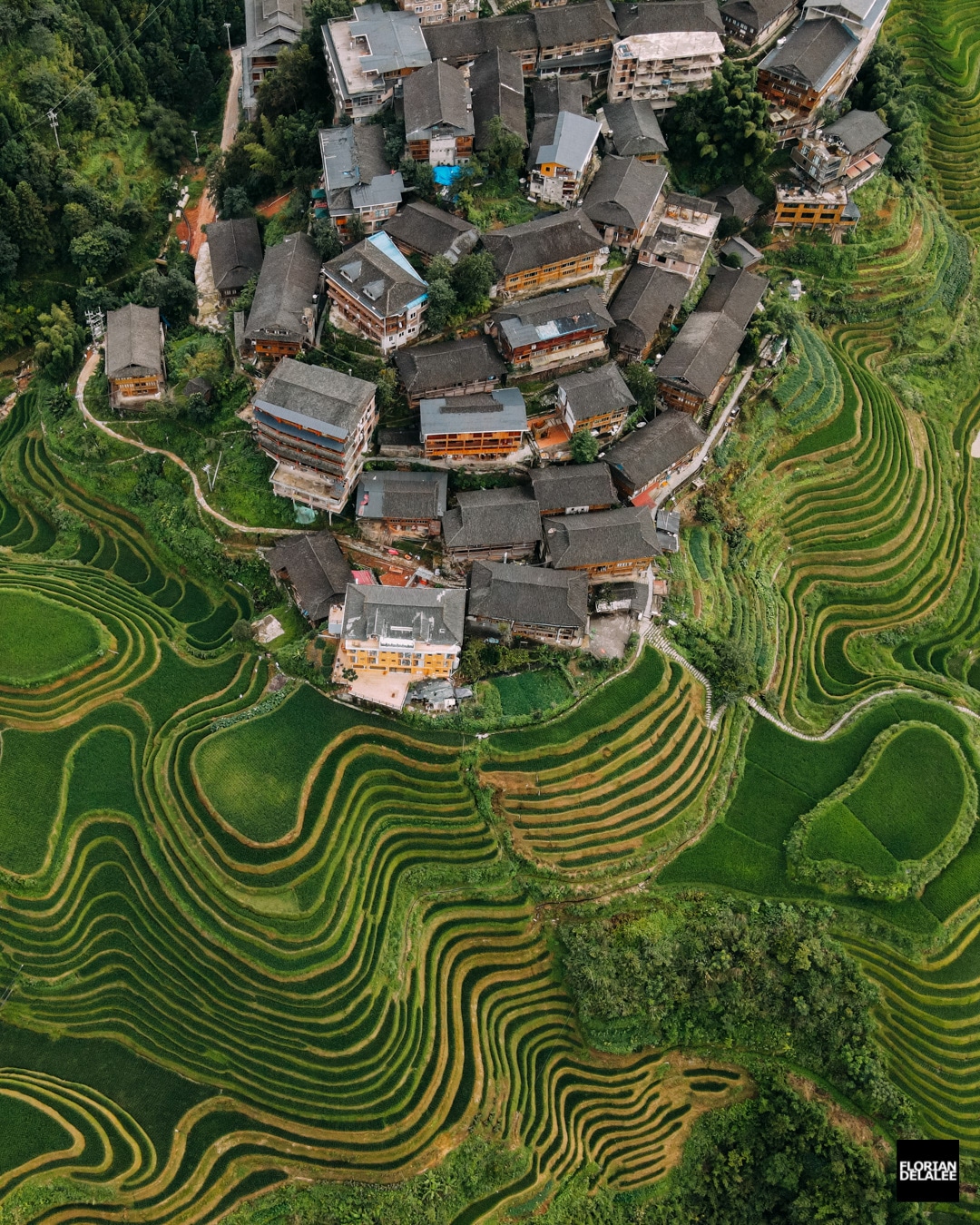 Aerial Photo of Village in China