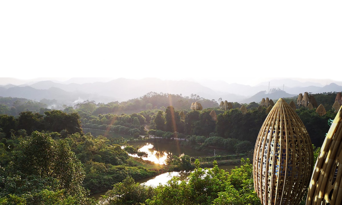 Looking Past the Nature at Basket-Inspired Wellness Center by DeD Studio