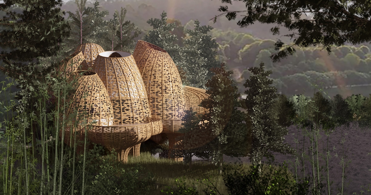 These Basket-Inspired Treehouses Are Spread Throughout the Forest