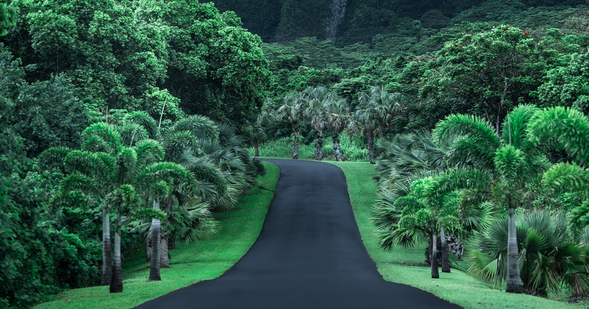 A paved road running between palm trees toward misty green mountains on Oahu