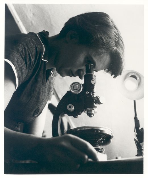 Η Ρόζαλιντ Φράνκλιν κοιτάζει σε μικροσκόπιο