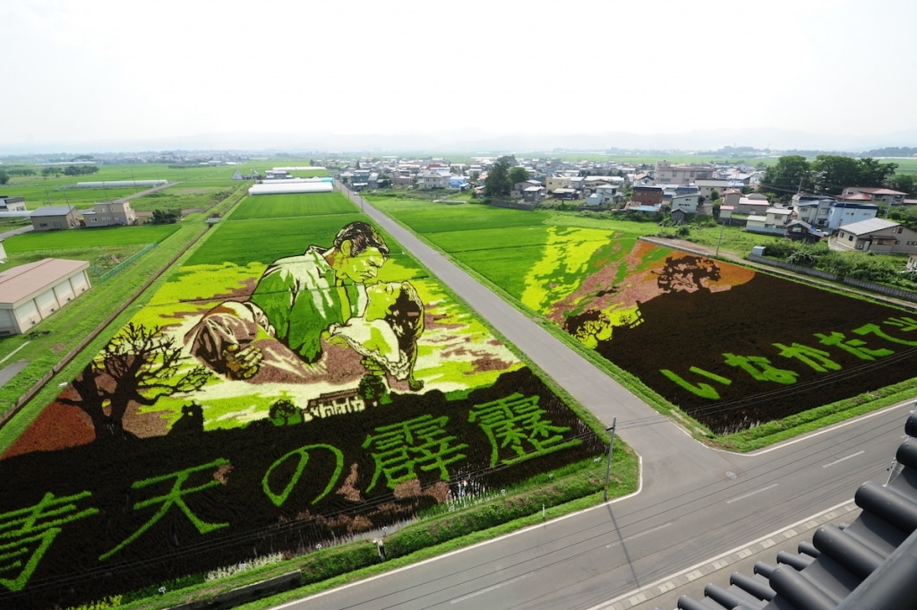 This Japanese Village Creates Amazing Rice Paddy Art Every year