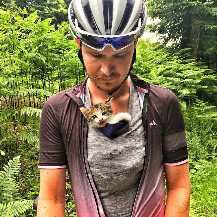 Chaton trouvé seul dans la forêt adopté par les cyclistes