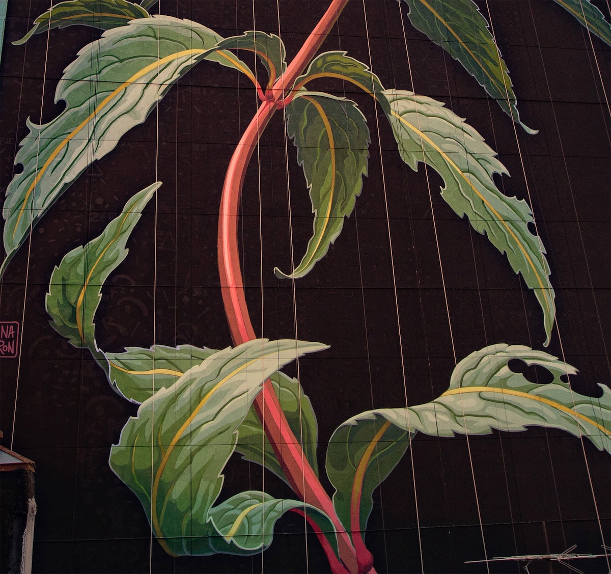 œuvre florale murale par Mona Caron