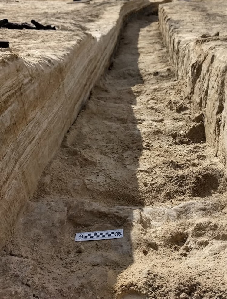 Fossilized Footprints at National Park from First Humans In North America