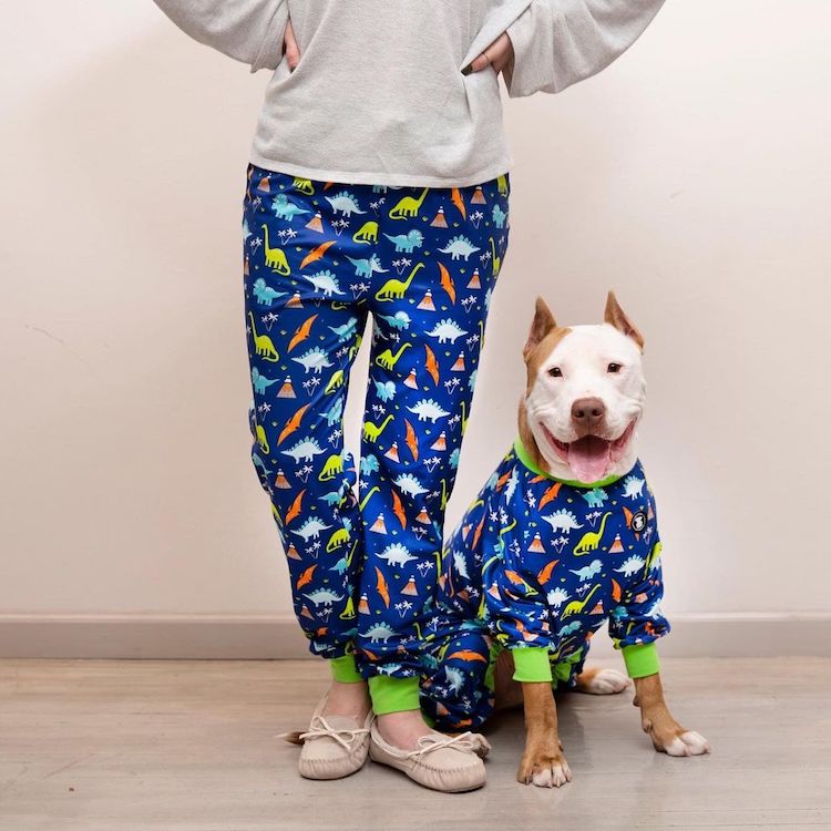 crea coloridos pijamas diseñados especialmente para pitbulls