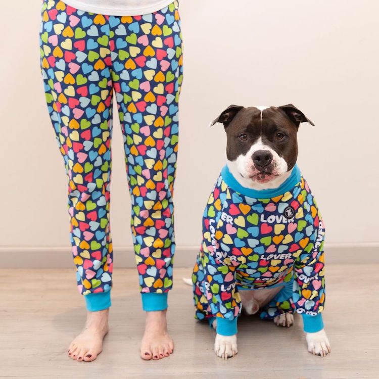 crea coloridos pijamas diseñados especialmente para pitbulls