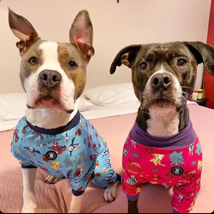 Pijamas para pitbulls de Pittie Clothing Company