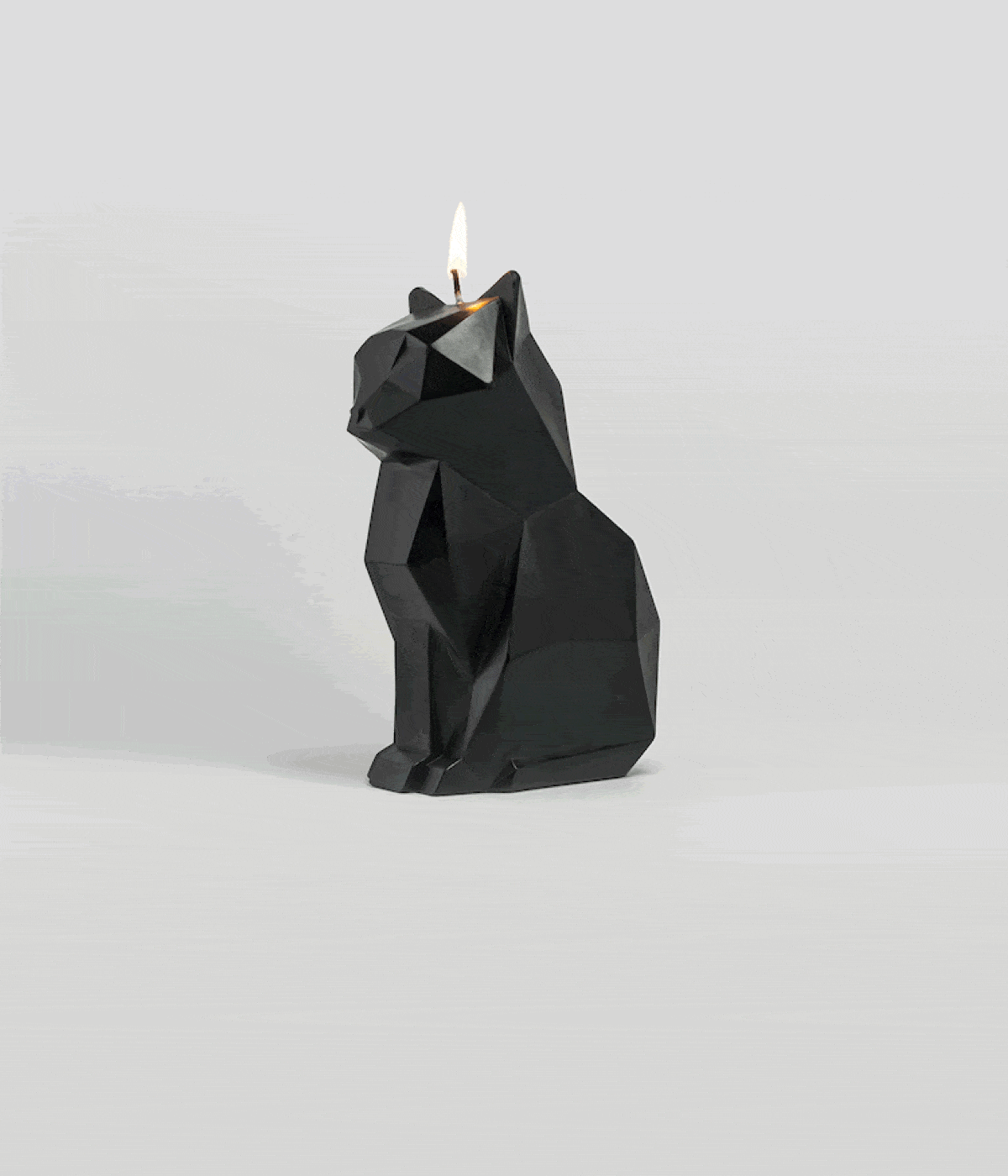 Black Cat Skeleton Candle