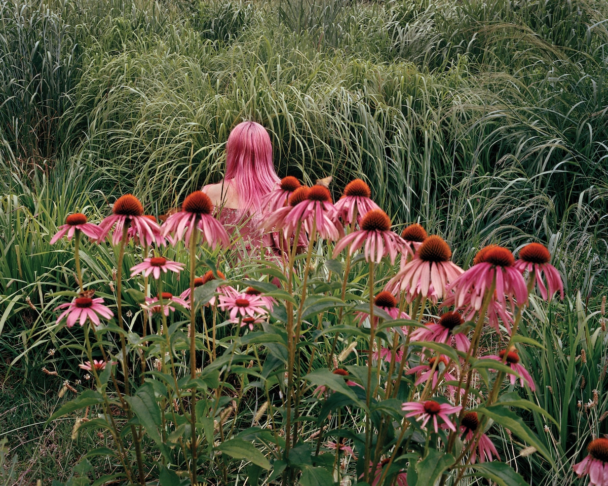 Girl in a Field of Cornflowers